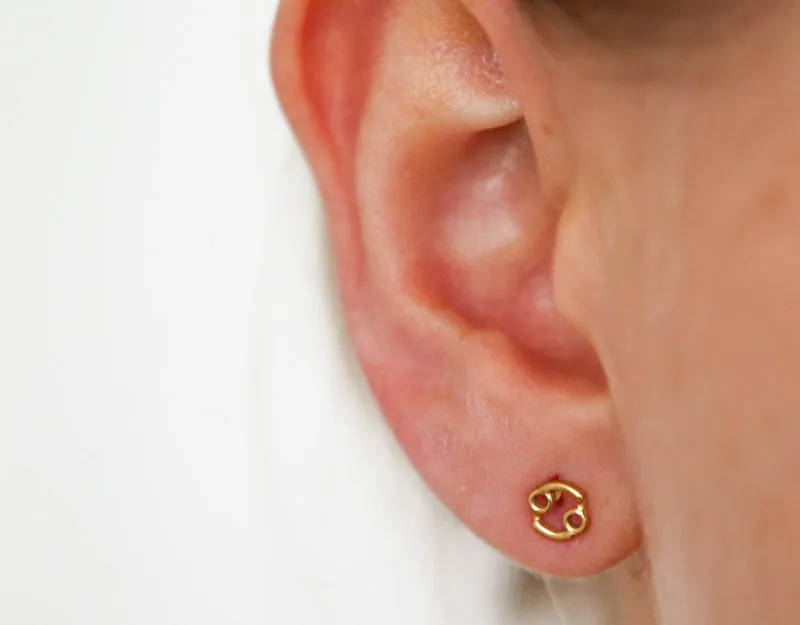 Cancer Zodiac Studs