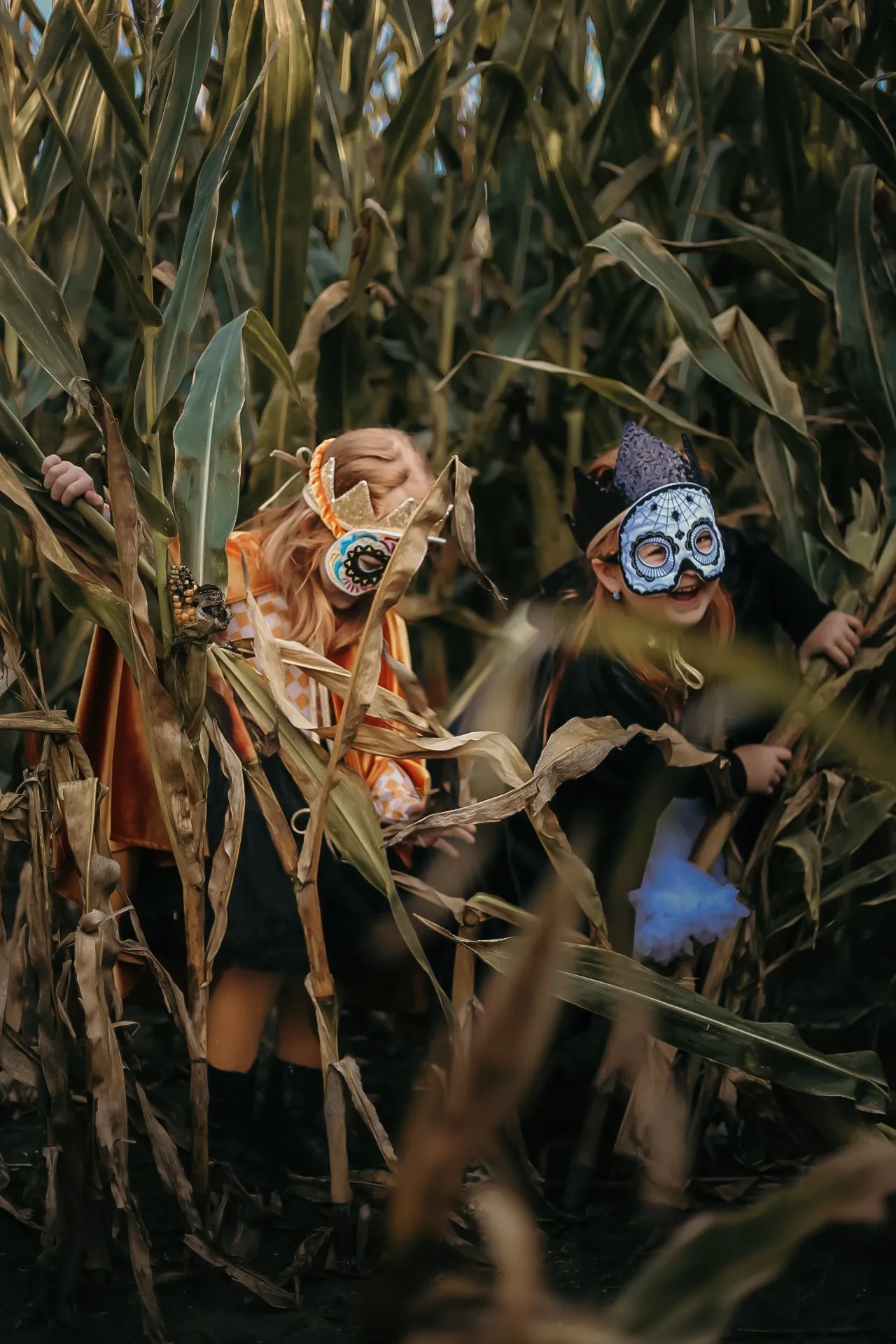 Colorful Halloween - Skull Mask