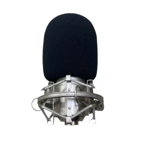 On-Stage Instrument Dynamic Microphone (AS800)