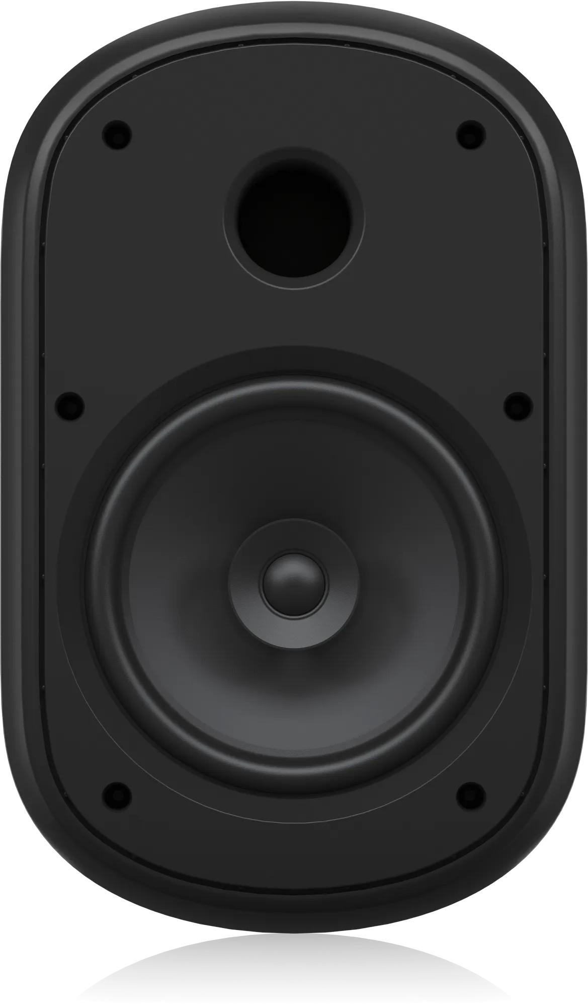 Tannoy DVS 801