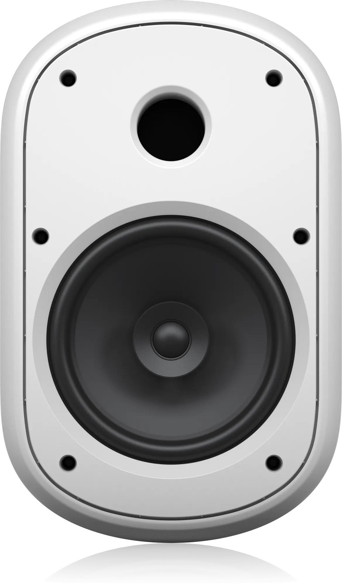 Tannoy DVS 801