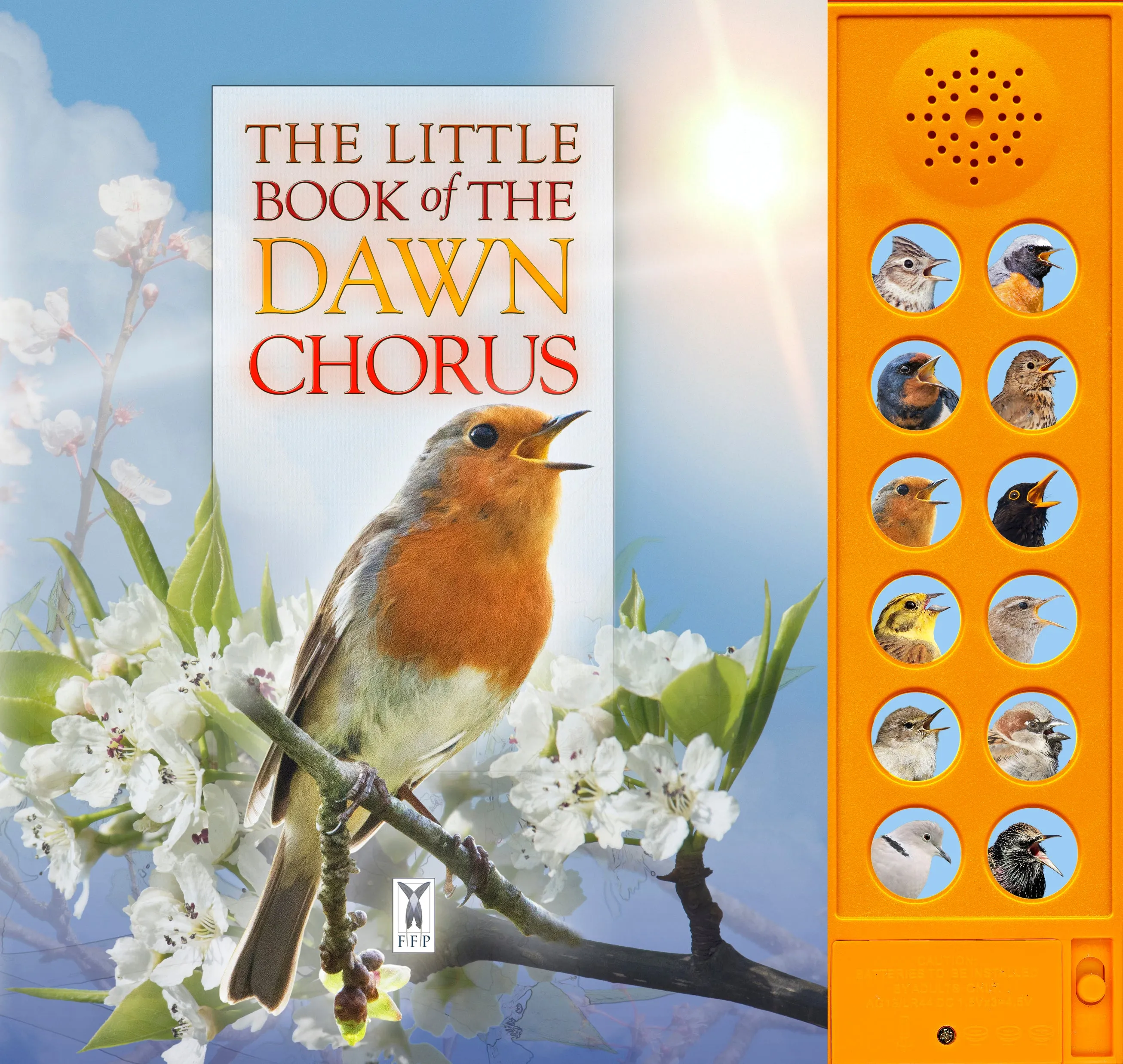 The little book of dawn chorus